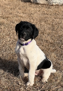 Black and White Male