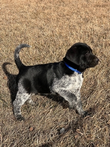 Black and White Male