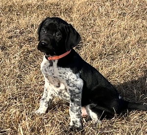 Black and White Male