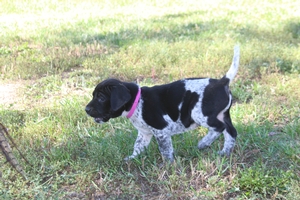 Black and White Female