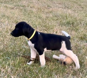 Black and White Female