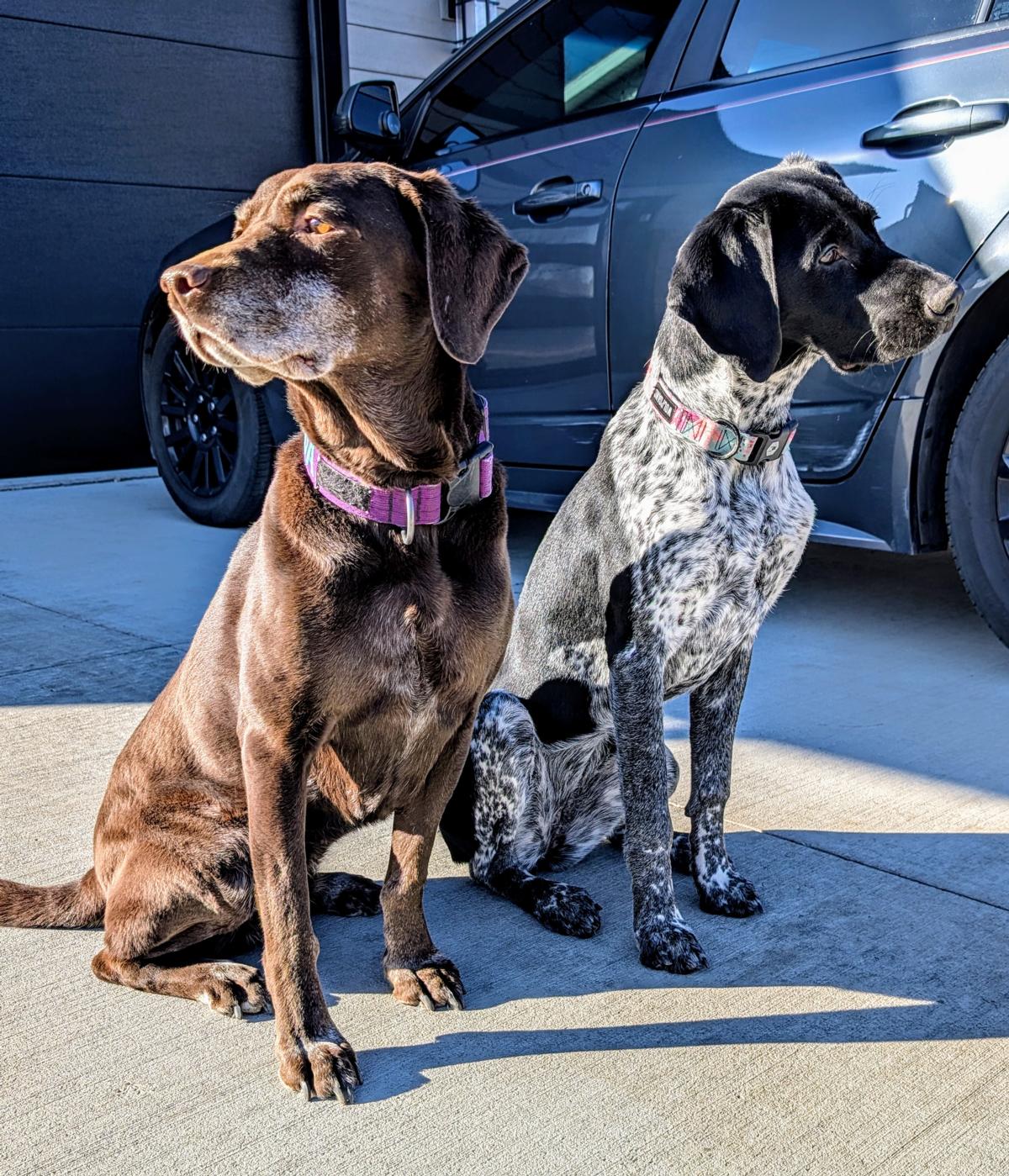 Amber and Jared Dose